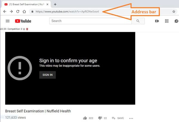 youtube age restriction bypass